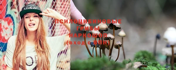 mdpv Гусиноозёрск
