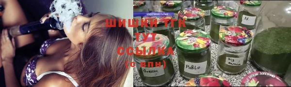mdpv Гусиноозёрск