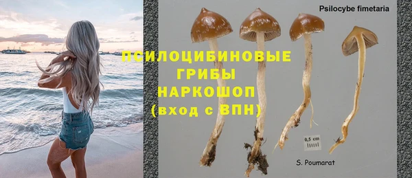 mdpv Гусиноозёрск